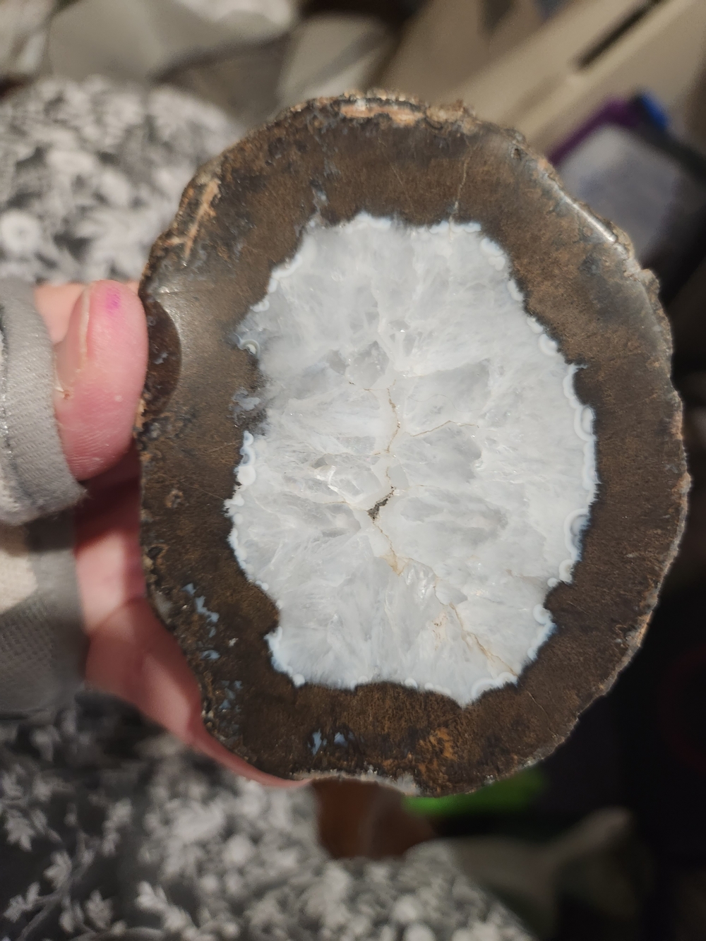 White and Brown Quartz/Agate Geode Half - Known as a Thunder Egg